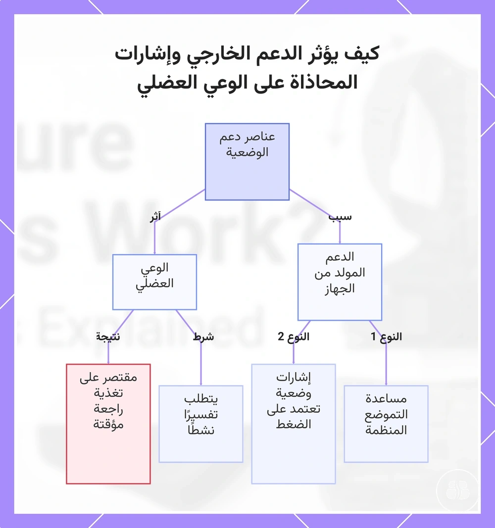 كيف يؤثر الدعم الخارجي وإشارات المحاذاة على الوعي العضلي