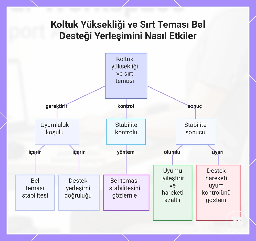 Koltuk Yüksekliği ve Sırt Teması Bel Desteği Yerleşimini Nasıl Etkiler