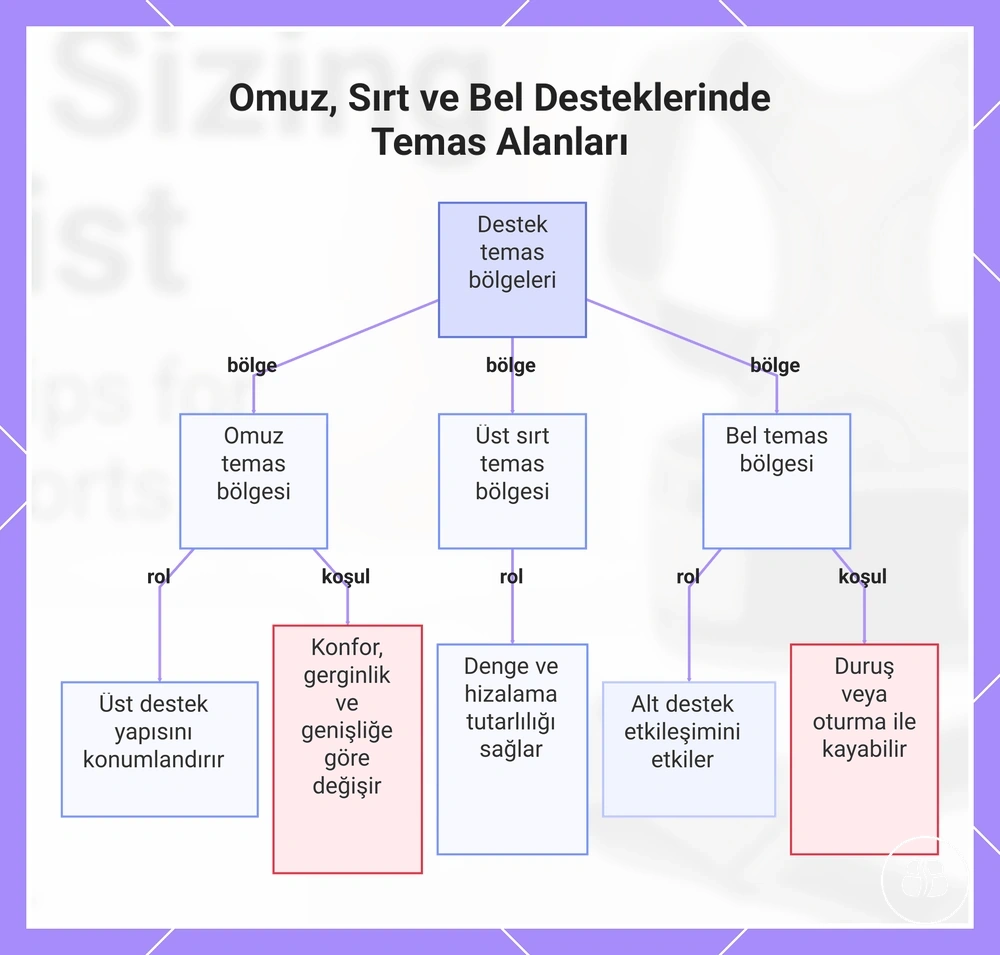 Omuz, Sırt ve Bel Desteklerinde Temas Alanları